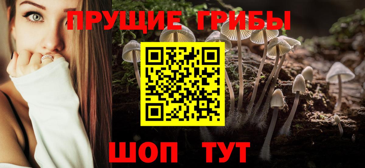 Псилоцибиновые грибы MAGIC MUSHROOMS  Вход с VPN  Псилоцибиновые грибы мицелий  Печора 