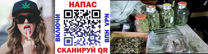 Марихуана MAZAR  где купить наркоту  мега tor  Печора 